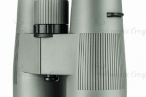 Prismático Chase Delta Optical