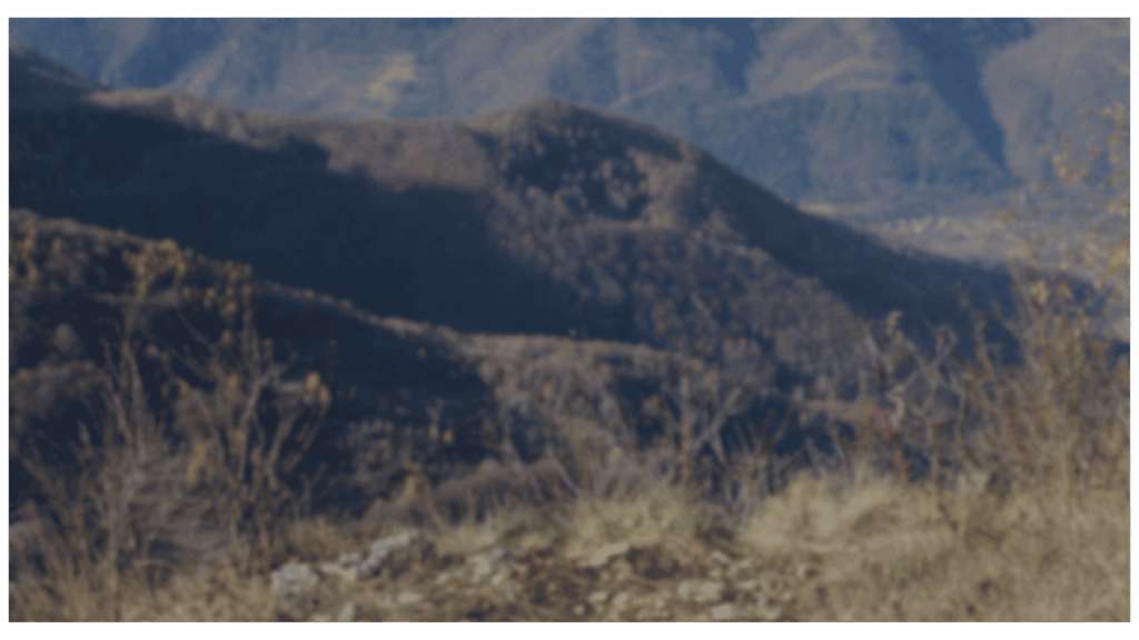 paisaje