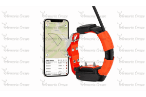 Collar GPS X30-T Dogtrace con módulo educativo