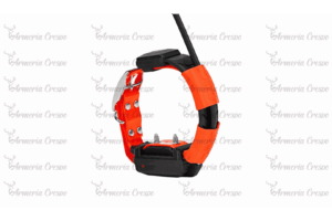 Dogtrace GPS X25-T con módulo educativo para perros
