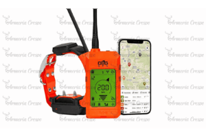 Dogtrace GPS X30-T con módulo educativo